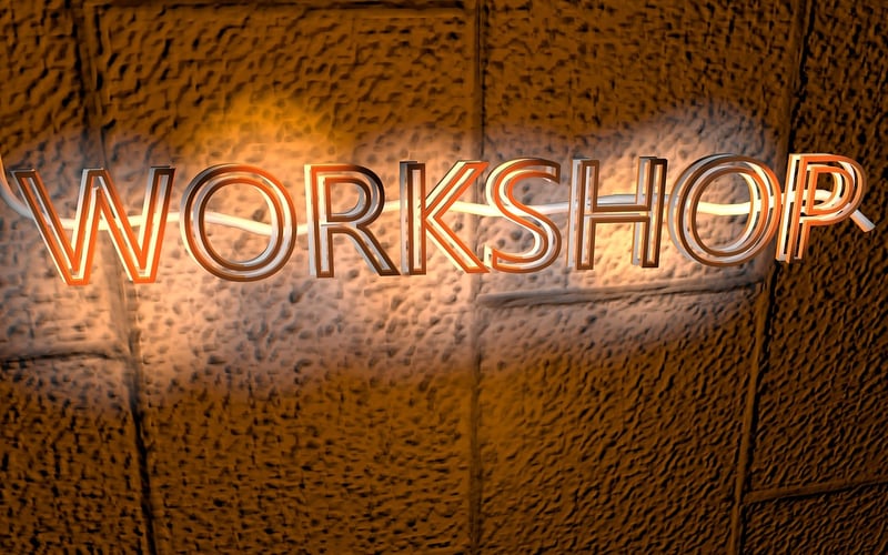 Professional Workshop